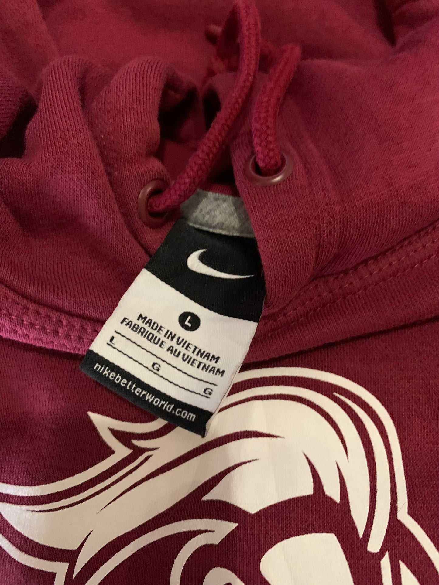 Arcadia Knights hoodie