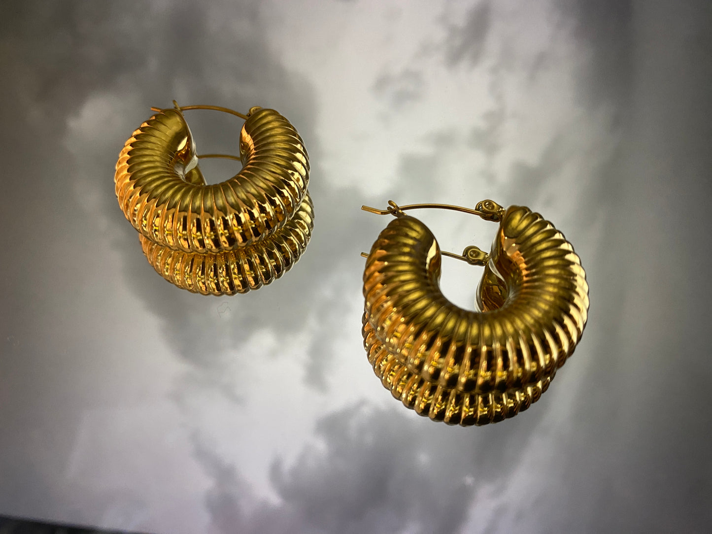 Gold shell earrings