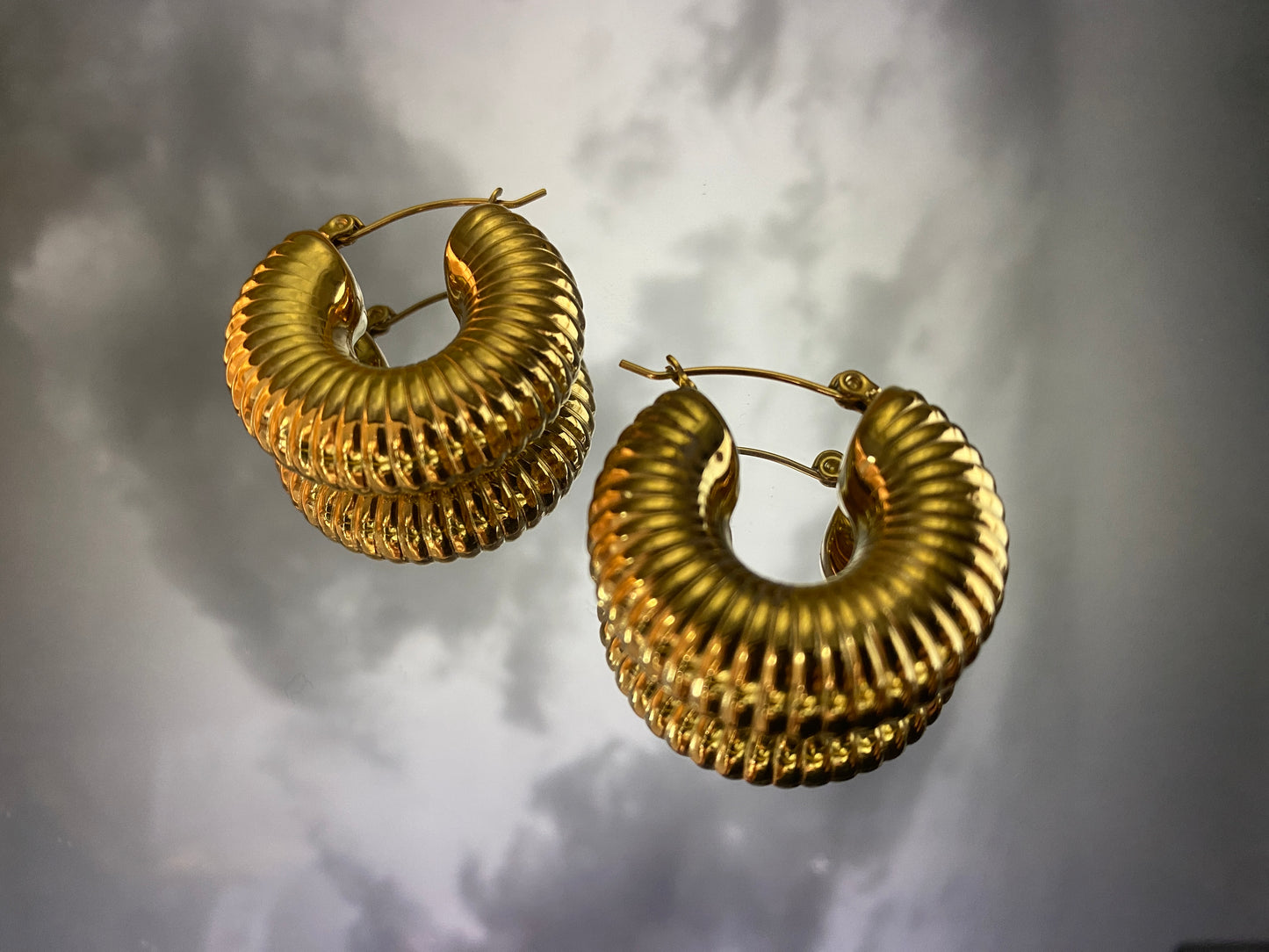 Gold shell earrings