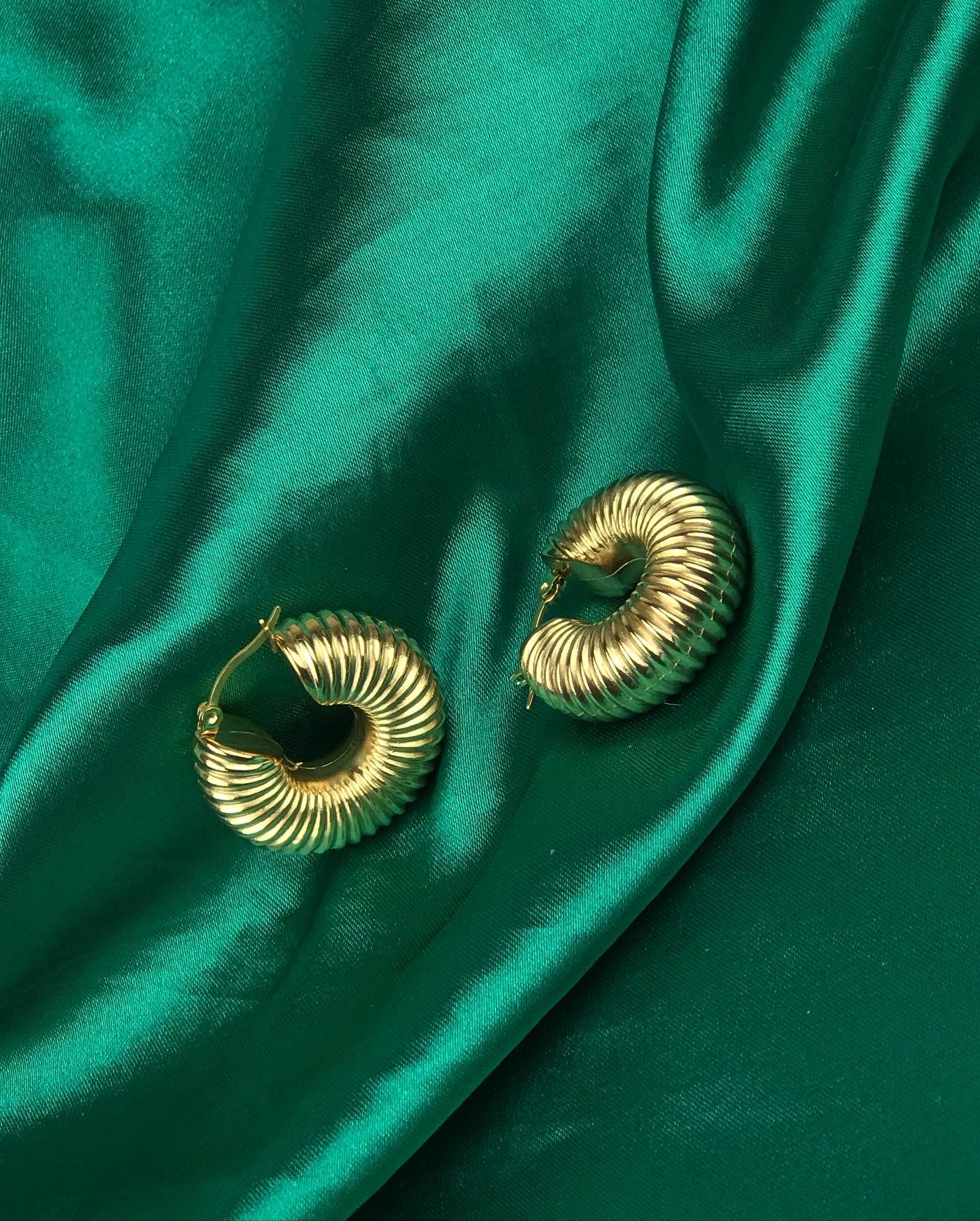 Spiral shell earrings