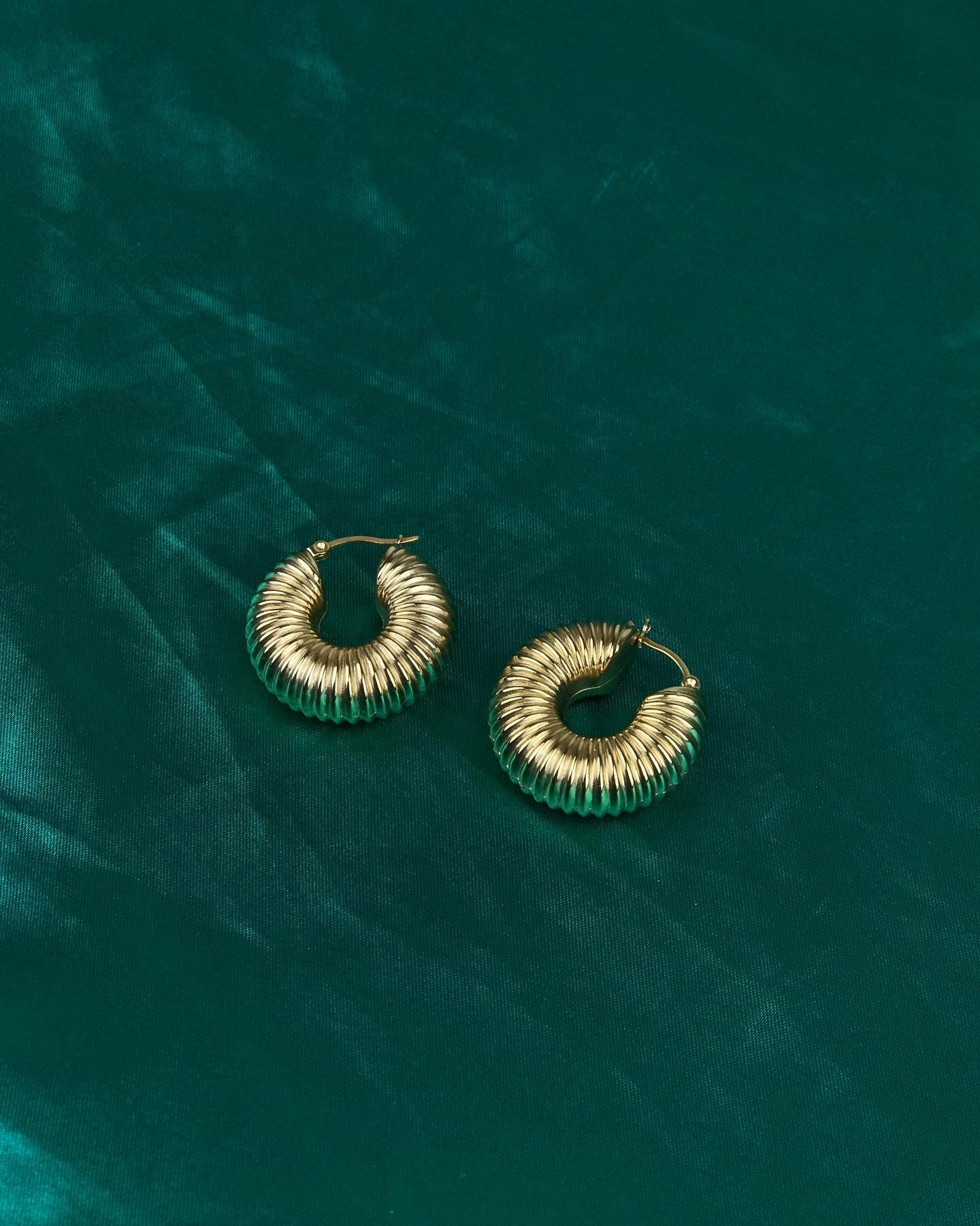 Spiral shell earrings